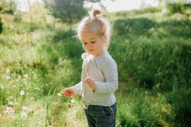 Bahar güneşli arka planında karahindiba ile gülümseyen 3 yaşındaki tatlı kız.