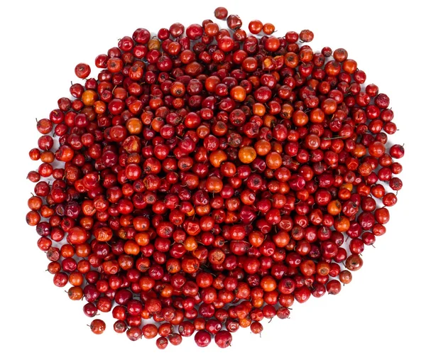 Indian Fruit Red Berry Also Know Bor Bora Bore — Stock Photo, Image