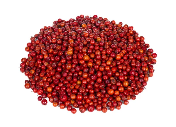 Fruta Indiana Red Berry Também Conhecido Como Bor Bora Furo Imagens Royalty-Free
