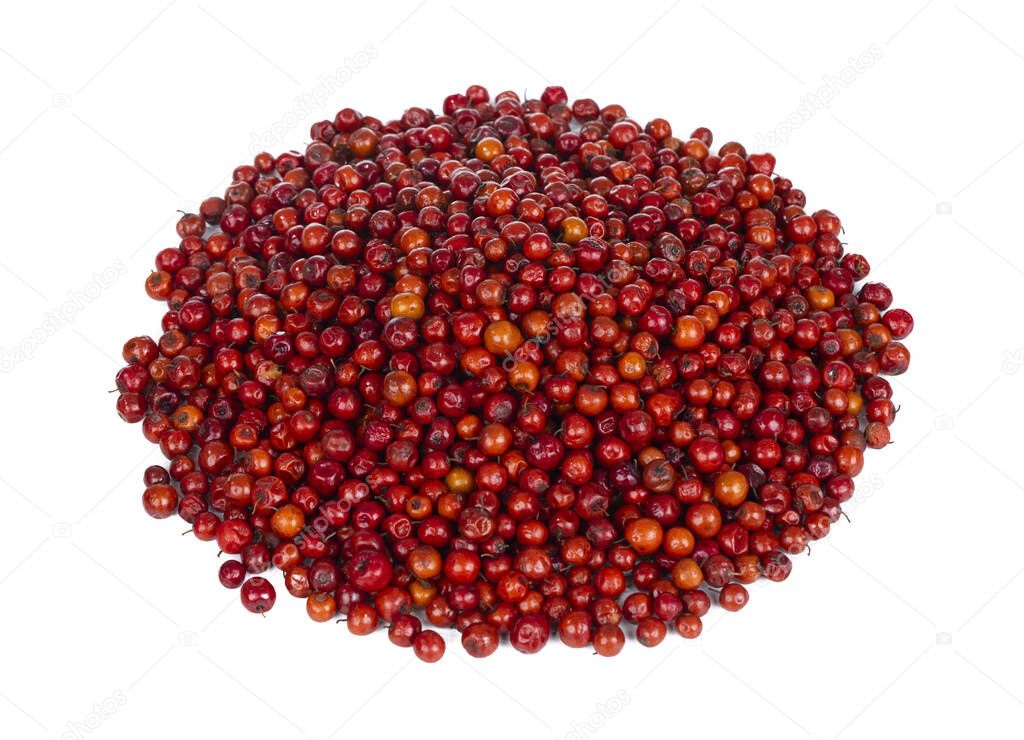 Indian Fruit Red Berry Also Know as Bor, Bora or Bore