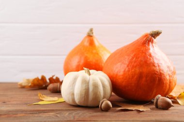 Renkli bir arka planda balkabakları. Şükran Günü geçmişi. Sonbahar arkaplanı.