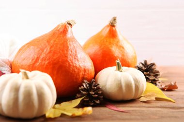 Renkli bir arka planda balkabakları. Şükran Günü geçmişi. Sonbahar arkaplanı.