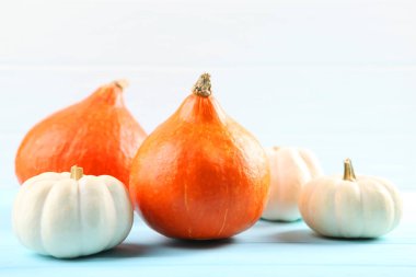 Renkli bir arka planda balkabakları. Şükran Günü geçmişi. Sonbahar arkaplanı.