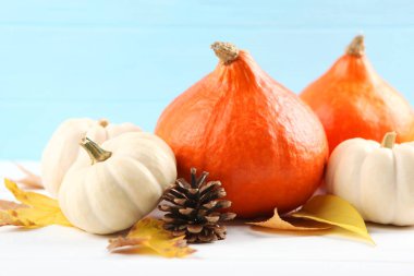 Renkli bir arka planda balkabakları. Şükran Günü geçmişi. Sonbahar arkaplanı.