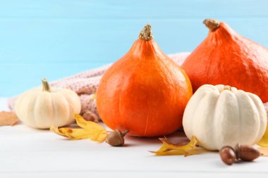 Renkli bir arka planda balkabakları. Şükran Günü geçmişi. Sonbahar arkaplanı.