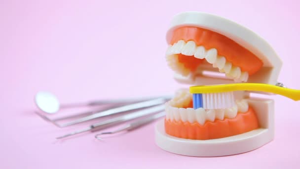 Уход за полостью рта. как правильно чистить зубы зубной щеткой — стоковое видео