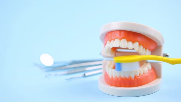 Cuidados da cavidade oral. como escovar adequadamente os dentes com uma escova de dentes — Vídeo de Stock