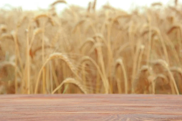 Деревянная доска на фоне пшеничного поля с местом для текста — стоковое фото