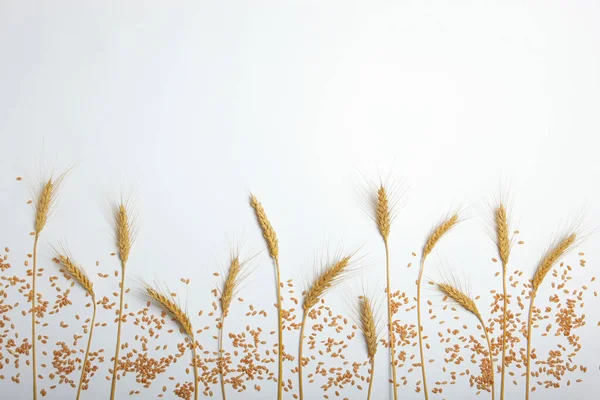Espiguetas de trigo e grãos sobre fundo claro — Fotografia de Stock