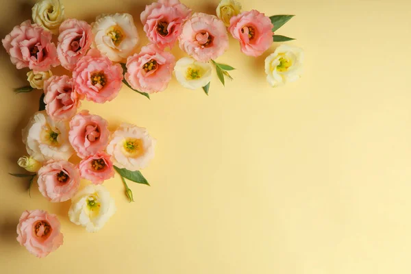 Bel arrangement de fleurs sur un fond coloré avec place pour le texte. — Photo