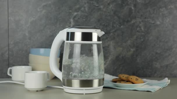 Das Wasser im Wasserkocher kocht. Kochendes Wasser für heiße Getränke. — Stockvideo