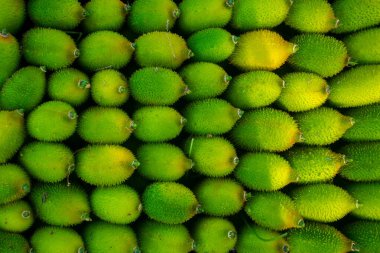 Taze ve yeşil dikenli sukabağı sebzeleri pazarda satılmaya hazır..