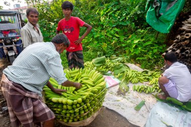 Narsingdi pazarında satılık taze ve yeşil Sünger Süngeri sebzeleri paketleyen iki işçi..