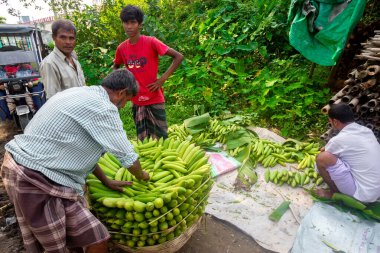 Narsingdi pazarında satılık taze ve yeşil Sünger Süngeri sebzeleri paketleyen iki işçi..