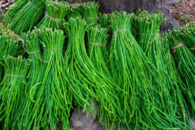 Bir grup kuşkonmaz fasulyesi ya da uzun fasulye taze sebze paketi pazara satışa hazır..
