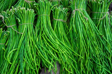 Bir grup kuşkonmaz fasulyesi ya da uzun fasulye taze sebze paketi pazara satışa hazır..