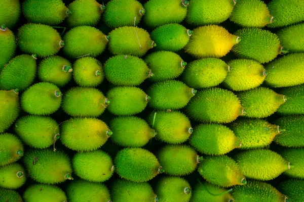 Verduras Frescas Verdes Calabaza Espinosa Listas Para Venta Mercado — Foto de Stock