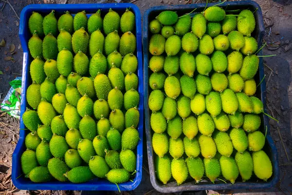 新鲜和绿色的刺葫芦蔬菜可在市场上出售 — 图库照片