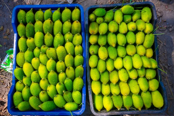 新鲜和绿色的刺葫芦蔬菜可在市场上出售 — 图库照片