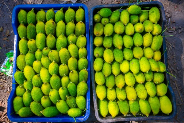 Verduras Cabaça Espinhosa Frescas Verdes Prontas Para Venda Mercado — Fotografia de Stock