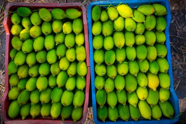 Verduras Cabaça Espinhosa Frescas Verdes Prontas Para Venda Mercado — Fotografia de Stock