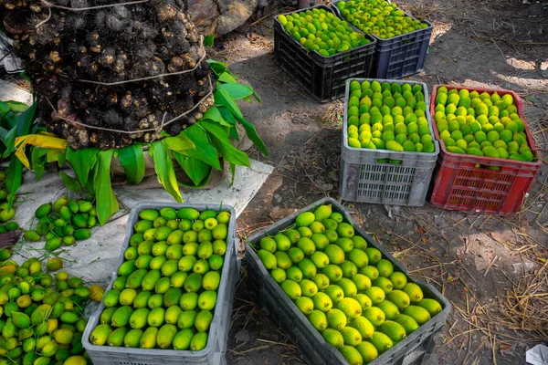 Verduras Cabaça Espinhosa Frescas Verdes Prontas Para Venda Mercado — Fotografia de Stock