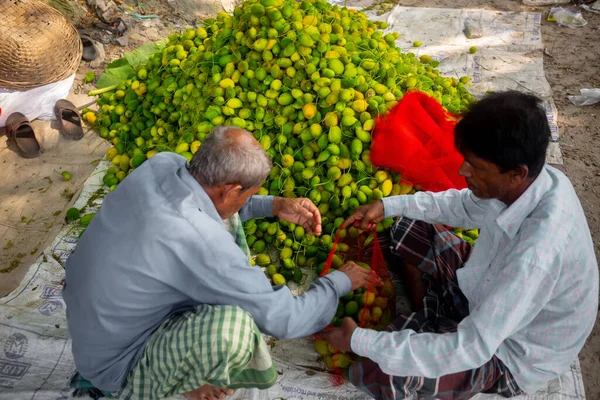 Dos Trabajadores Empacan Verduras Frescas Verdes Calabaza Espinosa Para Venta — Foto de Stock