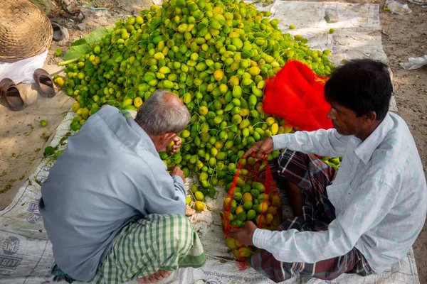 Dos Trabajadores Empacan Verduras Frescas Verdes Calabaza Para Venta Mercado — Foto de Stock