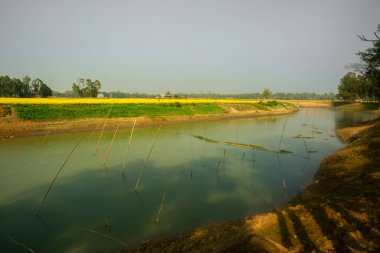 İnce kurumuş nehir kıyıları, sarı-yeşil mahsul toprakları ve mavi gökyüzü manzarası.
