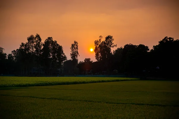 Beautiful winter afternoon sunset views. A village scenery golden twilight time.