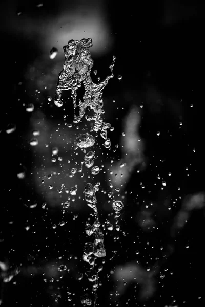 Salpicaduras Líquido Agua Sobre Fondo Negro Aislado —  Fotos de Stock