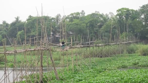 Bangladesh May 2021 Primitive Bamboo Bridge Has Been Built Large — Stock Video