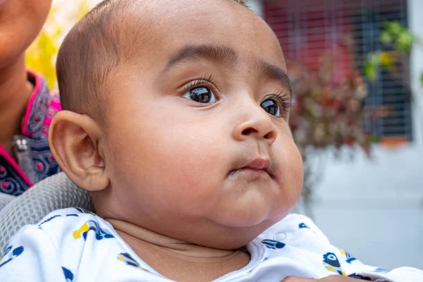 Tatlı, tombul bir erkek bebeğin portresi. Kafasına yakın çekim..