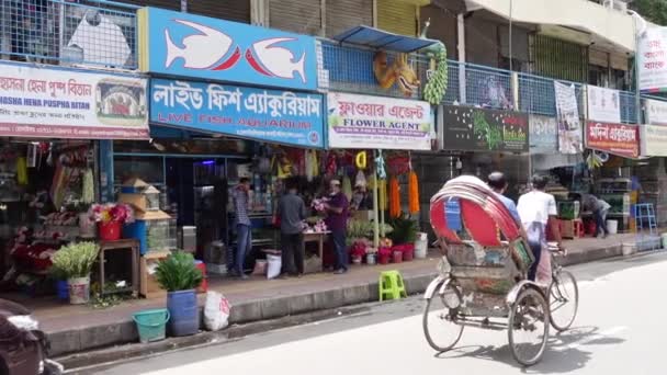 Dhakas Größter Heimtiermarkt Freien Und Blick Auf Die Zeit Der — Stockvideo