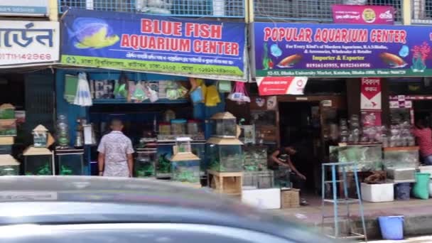 Mayor Mercado Mascotas Dhaka Aire Libre Vistas Tiempo Bloqueo Zona — Vídeos de Stock