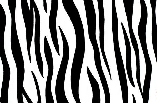 Black and white zebra pattern. — Stock Photo, Image