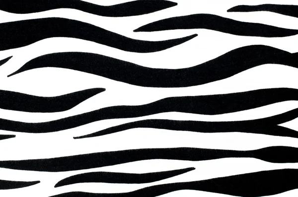 Black and white zebra pattern. — Stock Photo, Image