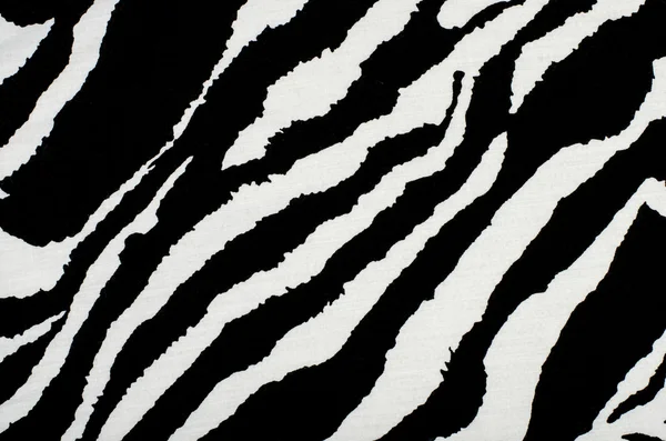 흑백 얼룩말 무늬. — 스톡 사진
