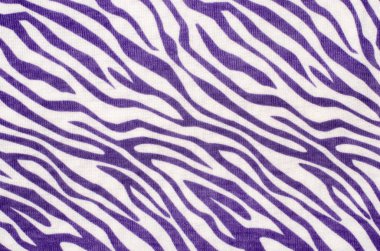 Mor ve beyaz zebra desen.
