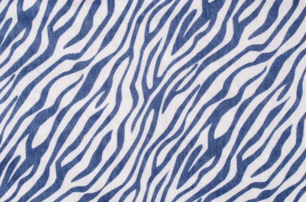 Blauwe en witte zebra-patroon. — Stockfoto