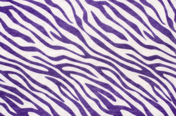 Motif zèbre violet et blanc . — Photo