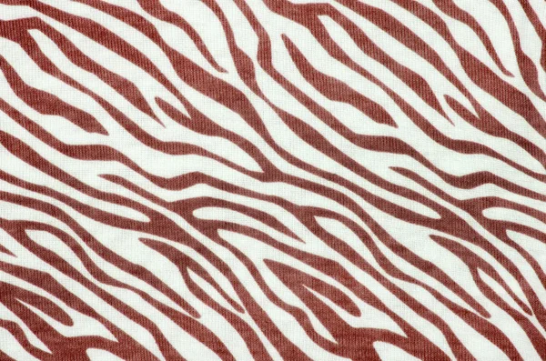 Red and white zebra pattern. — Stock Photo, Image