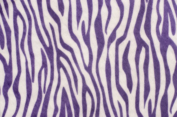 Paarse en witte zebra-patroon. — Stockfoto