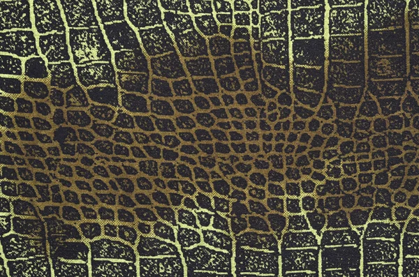 Modèle de peau de serpent sur le tissu . — Photo