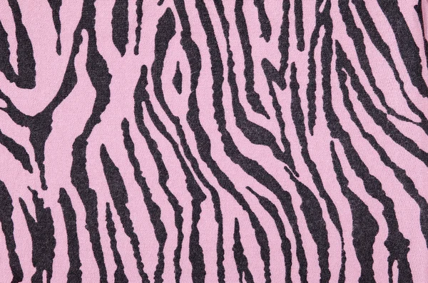 핑크와 블랙 지 브라 패턴. — 스톡 사진