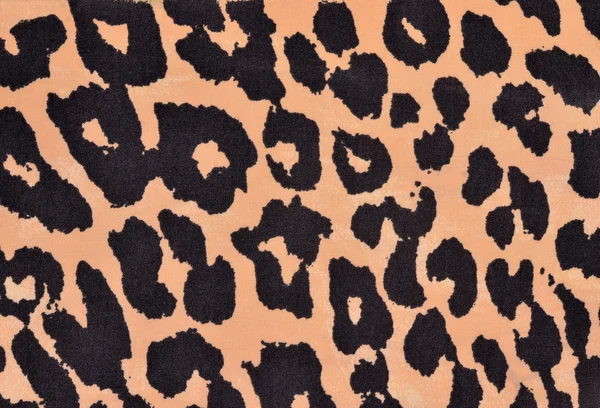 Zwart en oranje luipaard bont patroon. — Stockfoto