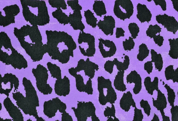 Padrão de pele de leopardo preto e roxo . — Fotografia de Stock