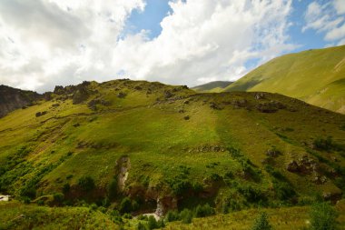 Kuzey Kafkasya 'nın yeşil tepeleri, Narzan vadisinde çiçek açan bitkiler ve mavi gökyüzü.