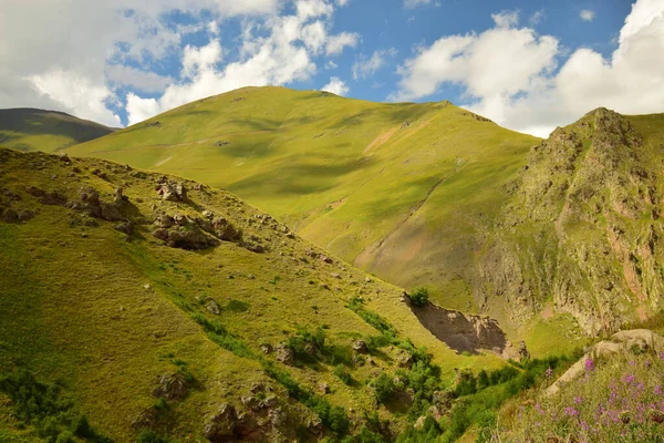 Вид Летние Горы Северного Кавказа Зелеными Горлышками Цветущими Растениями Голубым — стоковое фото