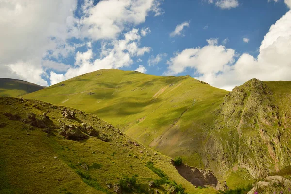 Панорама Горного Малкинского Ущелья Холмами Альпийскими Летними Зелеными Цветами Горах — стоковое фото